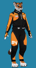 3D Avatar Retexture for DenakTig